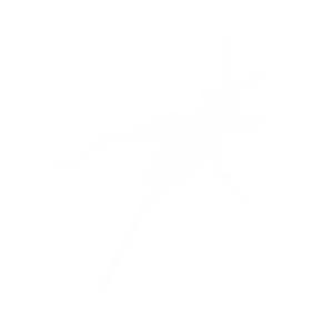 imageforslider